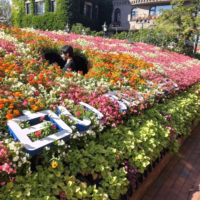 白い恋人パークのローズガーデンとお花