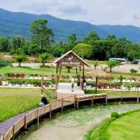 นาแม่เฒ่า @ จ.นครศรีธรรมราช