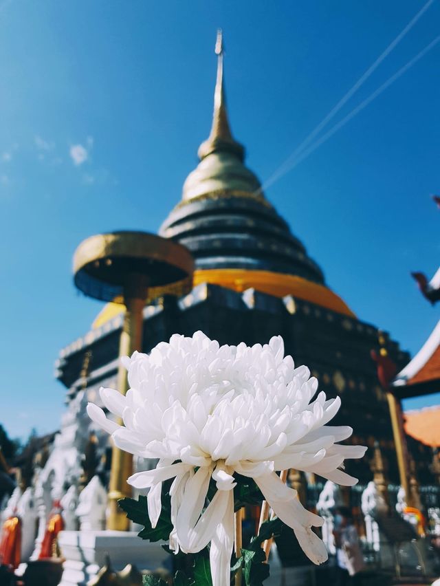 ทริปไหว้พระ@วัดพระธาตุลำปางหลวง