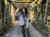 🌳อุทยานแห่งชาติตากสินมหาราช (ต้นตะบากใหญ่)🌳