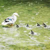 Bourton-on-the-Water