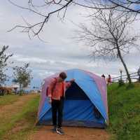 ภูทับเบิก🏕