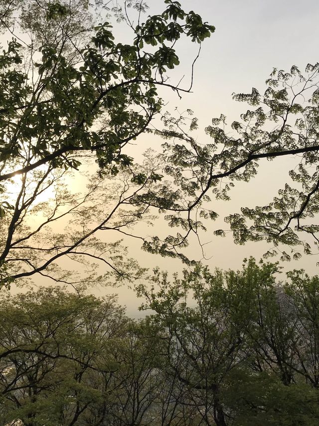 首爾塔 ｜ 連洗手間都有「大落地玻璃」比你欣賞風景
