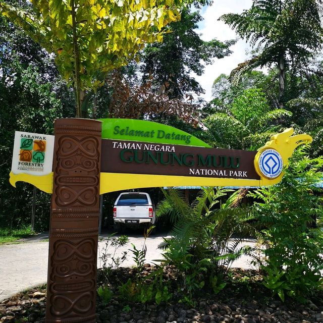 MULU NATIONAL PARK 