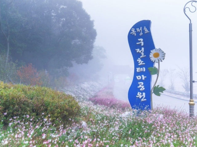 전북 구절초 축제_옥정호 구절초테마공원