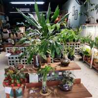 Naug Cafe Plants Make People Happy
