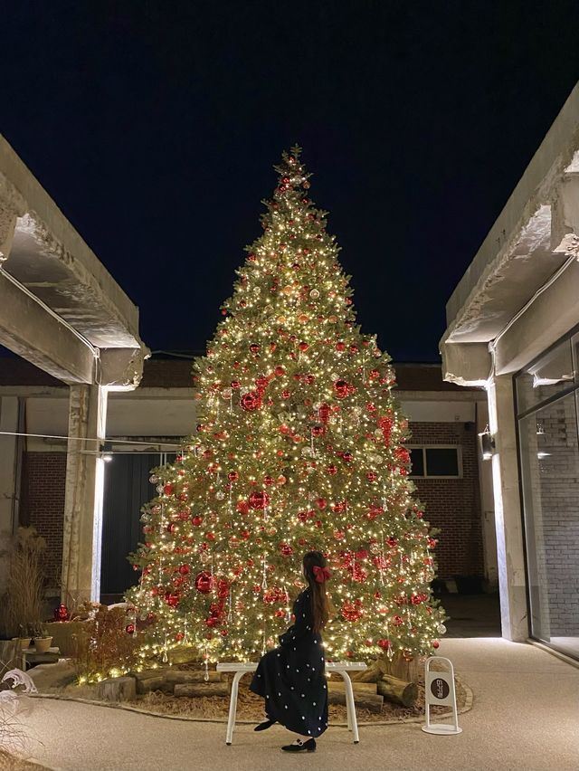 크리스마스 대형 트리뷰맛집🎄‘어가길베이커리‘