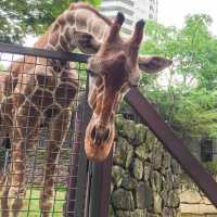 【上野】上野動物園