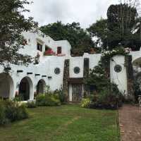 Exploring Pinto Art Museum