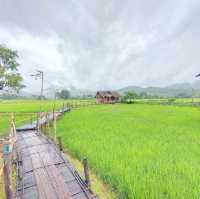 บ้านนอก ฮอกควาย สบายๆ เมืองคอง