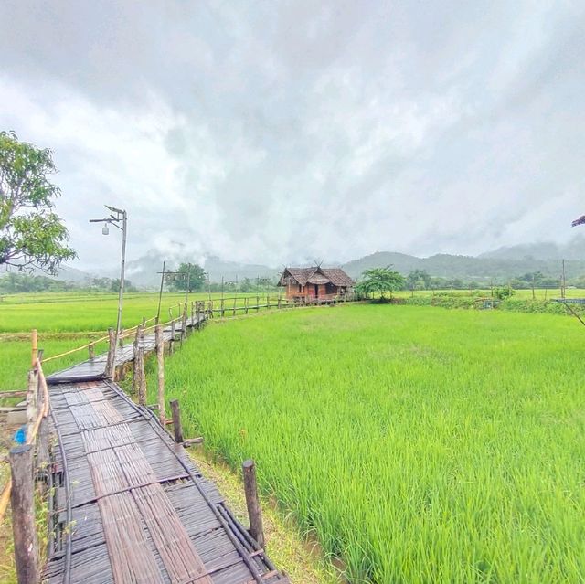 บ้านนอก ฮอกควาย สบายๆ เมืองคอง