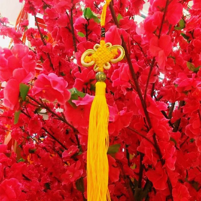 apm 春花金虎迎新歲