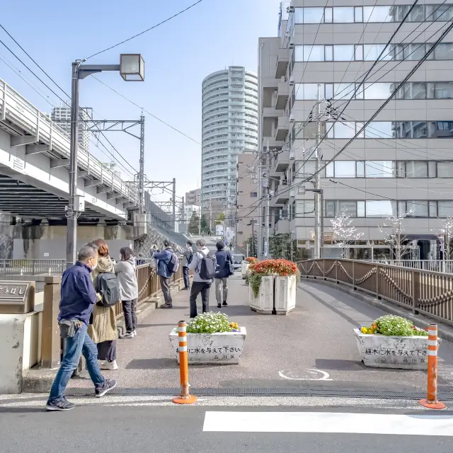 目黒川市場橋付近の桜並木