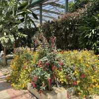 꽃이 보고 싶을 때 가볼만한곳 아산 세계꽃식물원 🌺