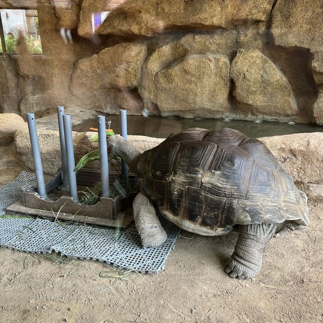 與小朋友來一堂實體課