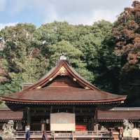 【京都府】出雲大神宮を参拝！