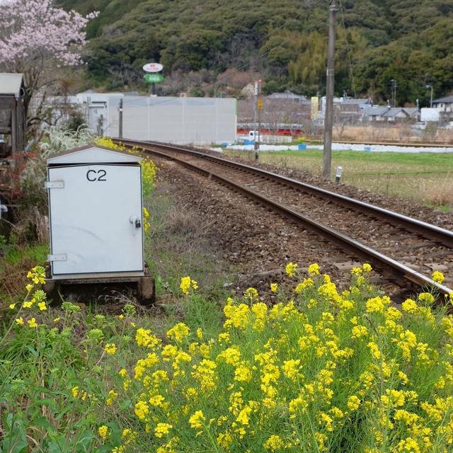 壯觀無比的中津溪谷🤩🤩｜日本高知縣