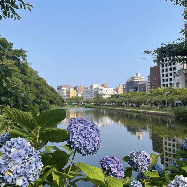福岡城跡