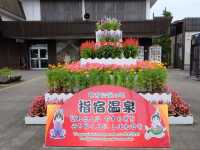♨️♨️鹿兒島必去指宿人氣溫泉🤩🤩🏨