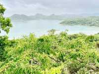 高棚頂