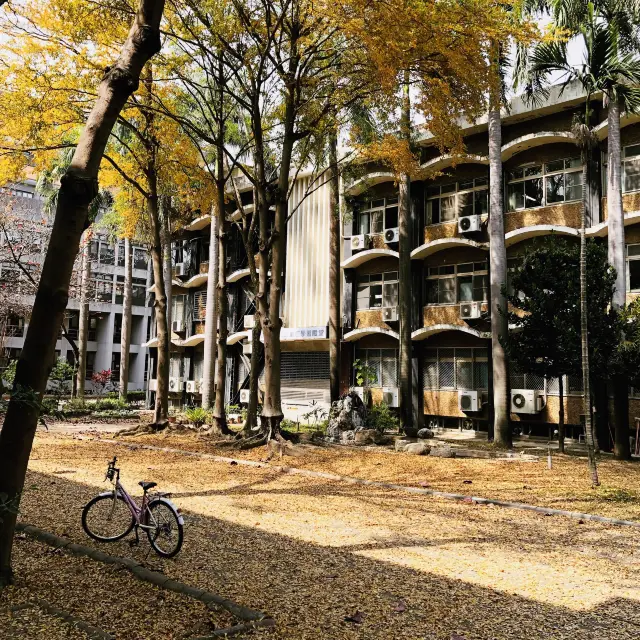 Ủa khuôn viên NCKU mà cứ ngỡ ở Hàn 