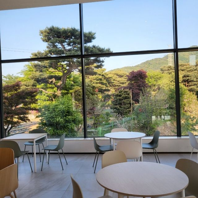 ⭐️포레스트뷰 백운호수 신상카페⭐️ :: 호야스