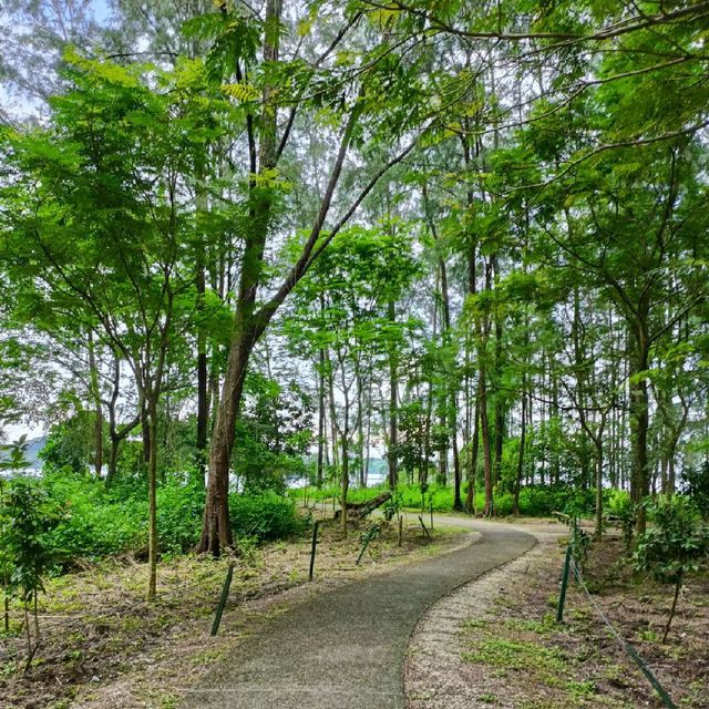 Coney Island Park