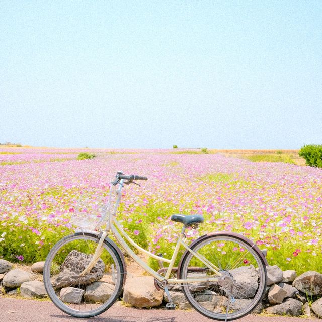 여름 낭만 그대로! 가파도로 자전거 여행 떠나요 ◡̈