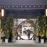 帯広神社夏詣　神秘的な緑の池と花手水🌺