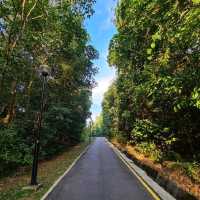 Hike up a hill to a neighbourhood park