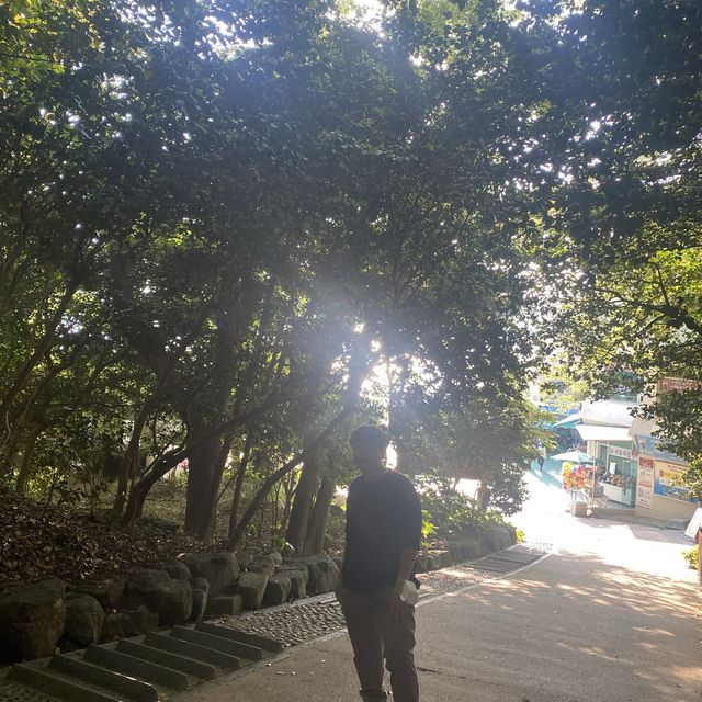 동백이 피지 않는 계절에도 여전히 이쁜, 오동도🌺