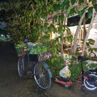 A Refuge For Social Gathering