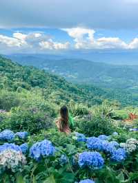 พาไปจิบกาแฟ ชมวิว ชมดอก กับคาเฟ่ชื่อดังบนม่อนแจ่ม⛰