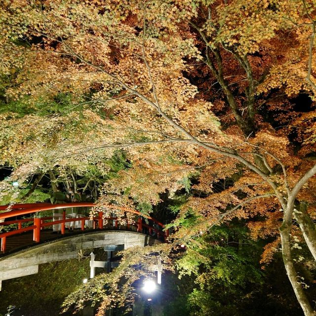 【群馬 伊香保温泉】情緒ある石段街と紅葉スポット