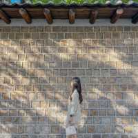 우리나라 덕수궁 나들이 ✨✨