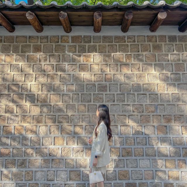 우리나라 덕수궁 나들이 ✨✨