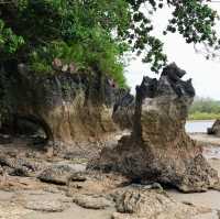 อุทยานแห่งชาติหาดเจ้าไหม ตรัง