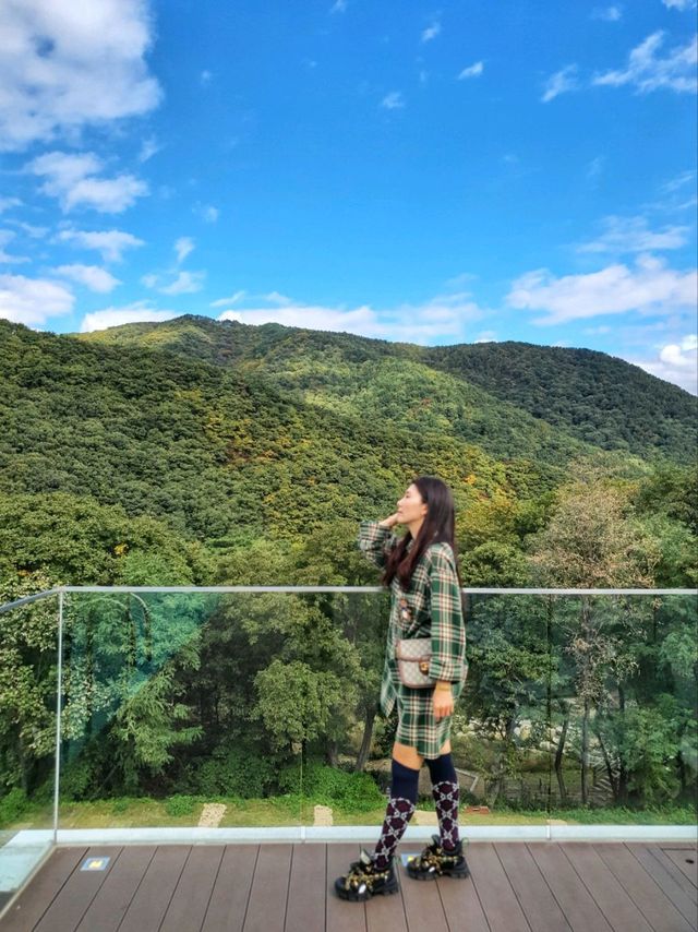 가을에 더 예쁜 마운틴뷰, 김해 장유카페 더 세하🏡