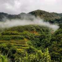 Beaty of the North - Rice Terraces 