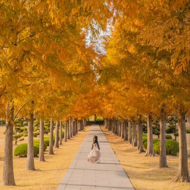 🍂주황빛아래에서 의미를 되새기며 산책하기 좋은곳 [부산, UN기념공원]