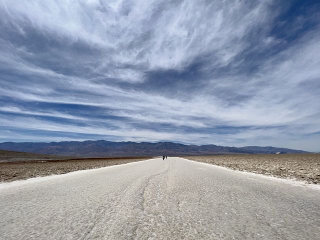 Alive in Death Valley