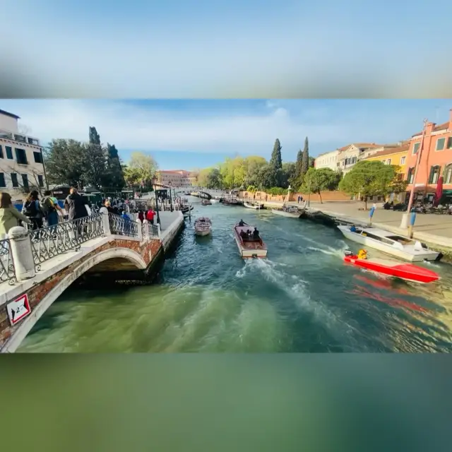DOLCE VITA 💐🛶