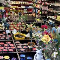 Bloemenmarkt 🌷🌷🌷
