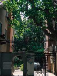 Former French Concession, Shanghai🌿🌱