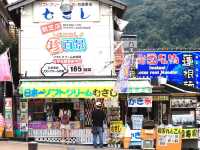 日本三名橋之岩國錦帶橋