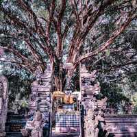 Pura Tirta Empul in Bali!