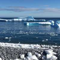 Antarctic Expedition