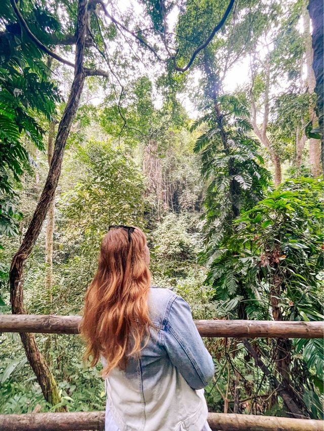 Catch the Details in the Forest