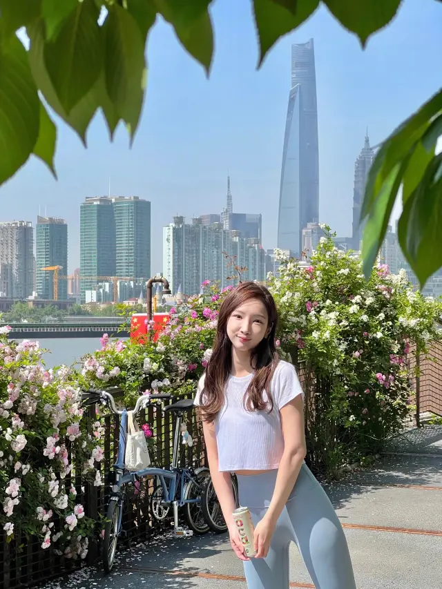 Rose flowers by the Huangpu River.