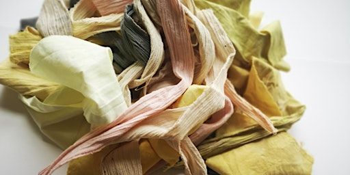 Introduction to Natural Dyeing | The Art House